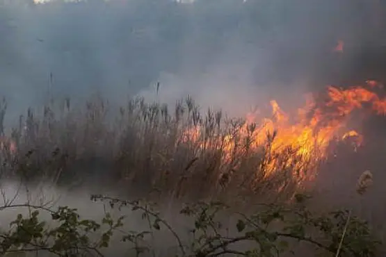 L'incendio (foto L'Unione Sarda - Pisanu)