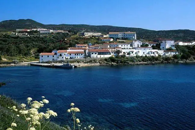 Cala d'Oliva, Asinara