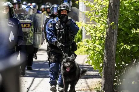 epa06794511 A police officer holds back his dog as they search for activists as they protest during the G7 Summit in Quebec City, Quebec, Canada, 08 June 2018. Leaders of the US, Canada, France, Germany, Japan, Italy, the United Kingdom as well as the European Union will gather in Le Manoir Richelieu in La Malbaie for the two day summit on 08 June and 09 June 2018. EPA/TANNEN MAURY