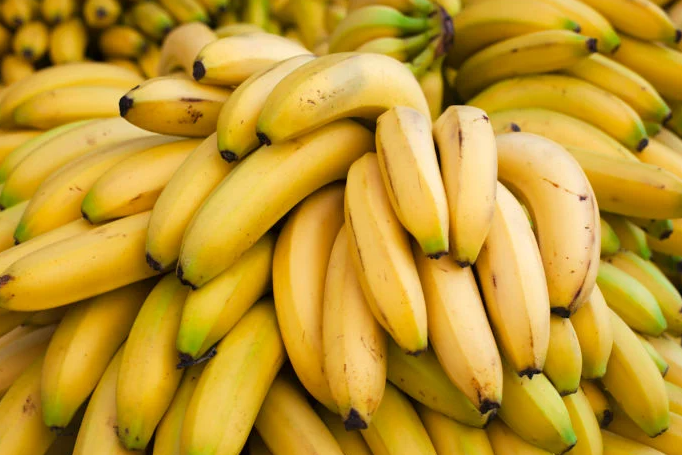Oltre 400 kg di cocaina fra i caschi di banane: il maxi sequestro in porto