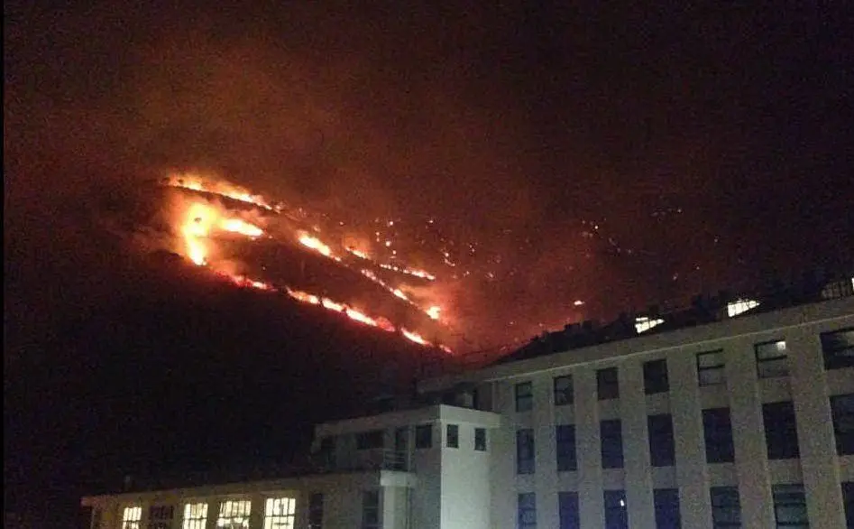 Una foto del'incendio pubblicata su Twitter (@Anne_CatLady)