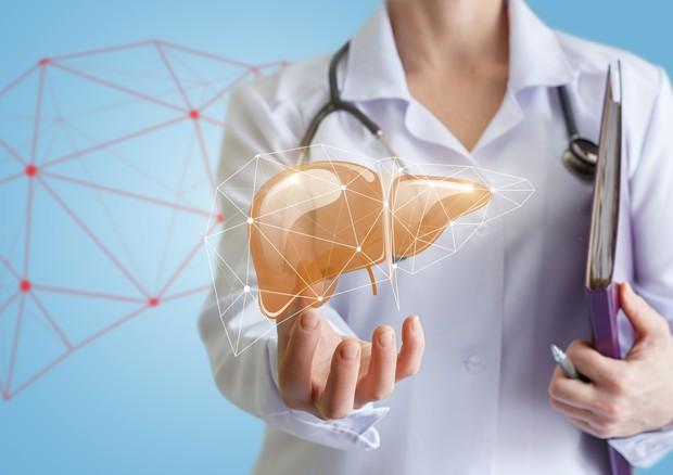 Dieta e salute del fegato: il segreto è nella leggerezza