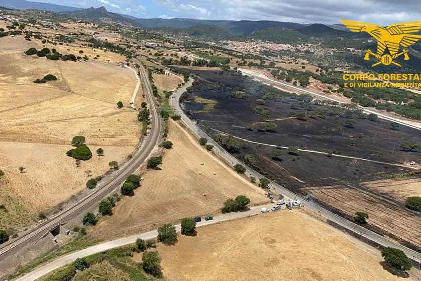 I danni a Berchidda (foto Corpo forestale)