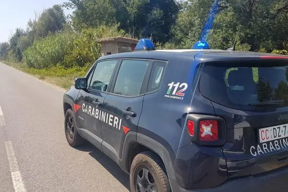 В Катании убиты двое похитителей цитрусовых (изображение символа Ansa)