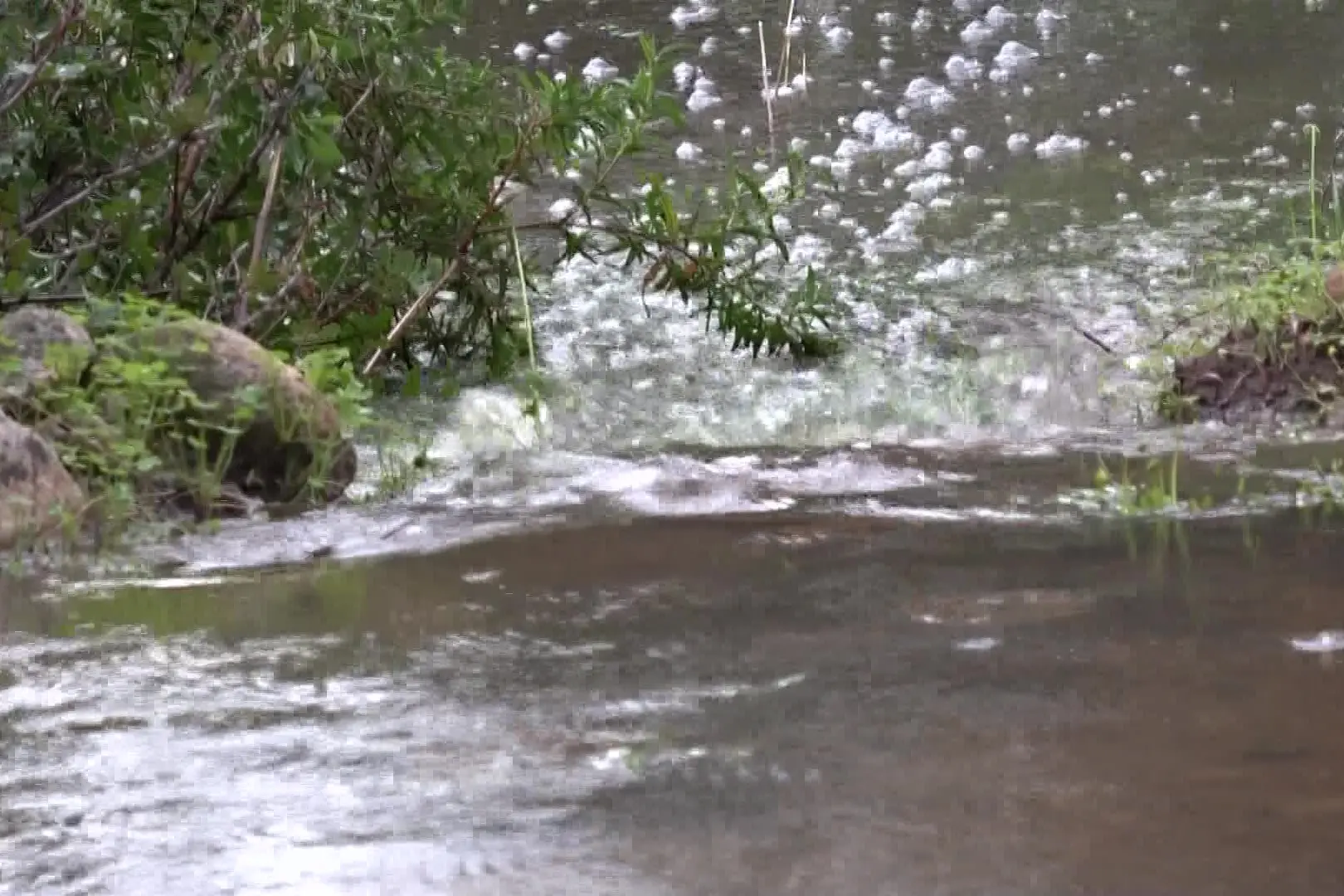 La pioggia riempie i bacini, sorride anche la Nurra
