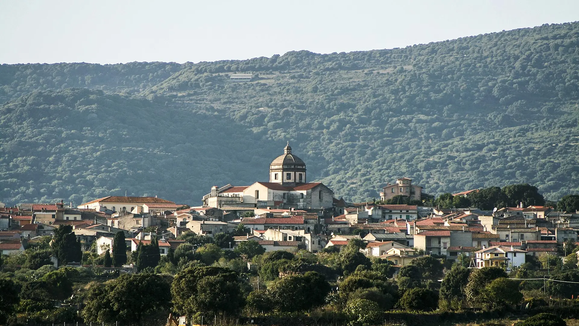 https://immagini.unionesarda.it/version/c:N2FjZTU3YzUtYTAwOS00:YmFjMTVhNjUtNjY3MS00/image.webp?f=16:9