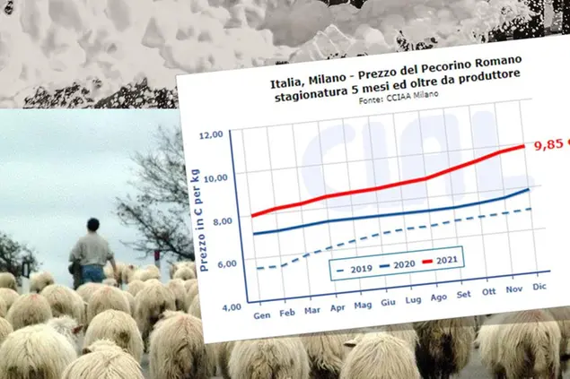 (foto L'Unione Sarda)
