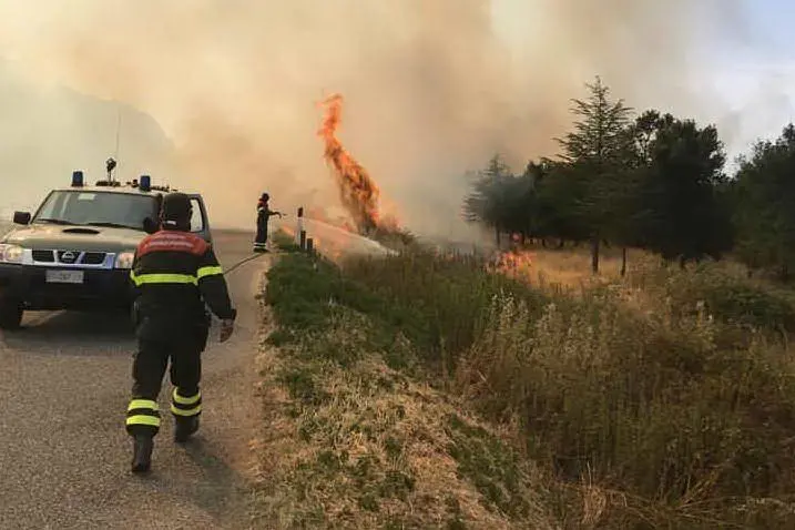 L'intervento a Usellus (foto Corpo forestale)