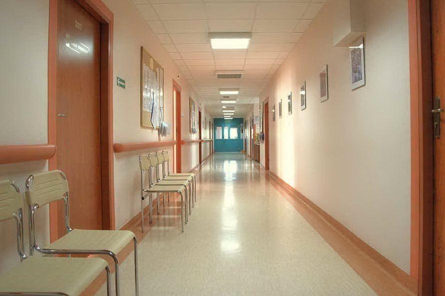 Medico sorpreso a pulire le seppie in ospedale: licenziato