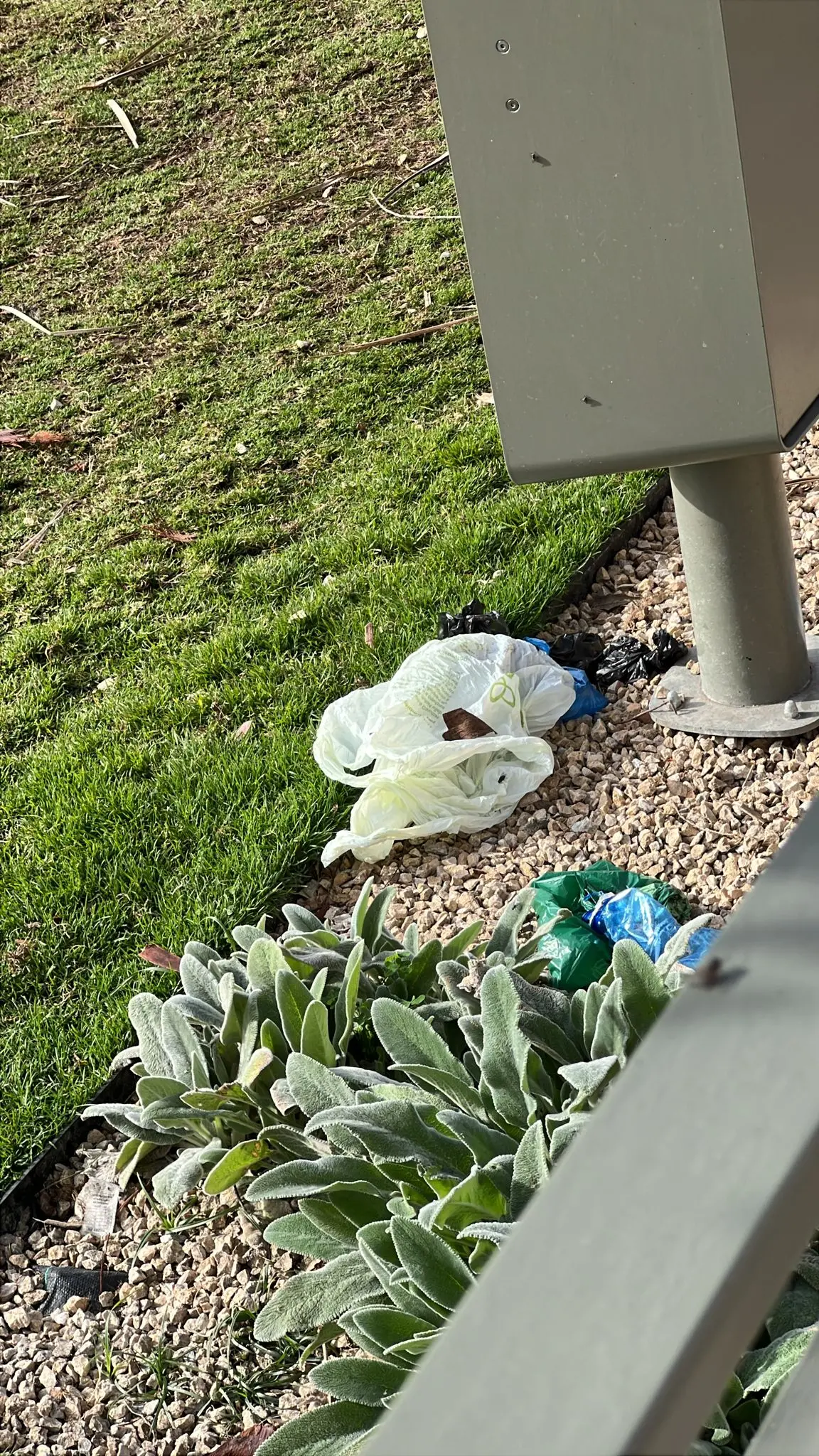 contentid/386ef8de-428a-4f20-b431-6abfdca6ae1a