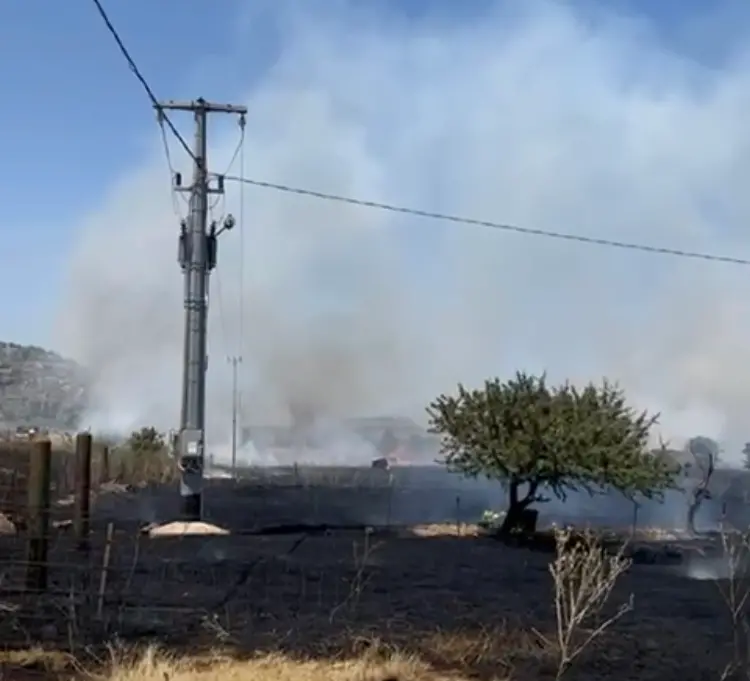 L'incendio in località Madruncula-Bonorva (foto Pala)