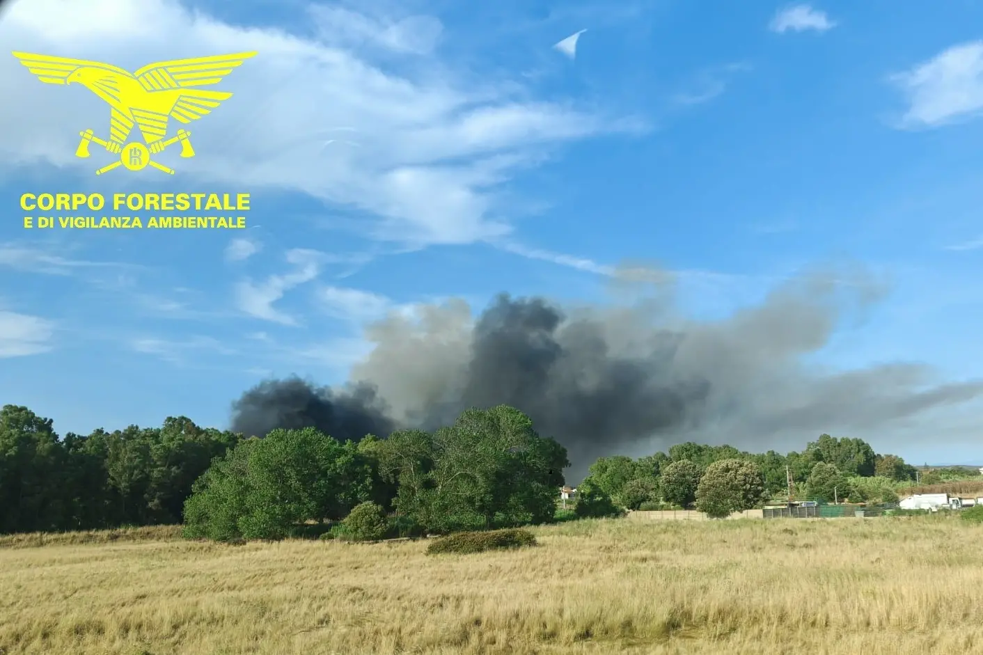 L'incendio a San Vero Milis (foto Corpo forestale)