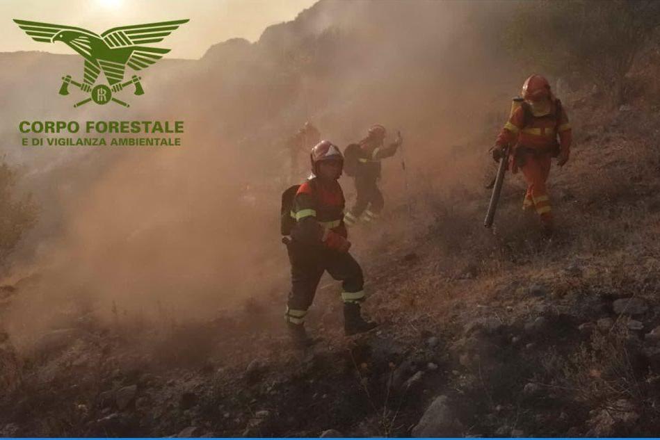 Sardegna, altra giornata di fuoco: bruciano i campi a Sassari e Nuoro