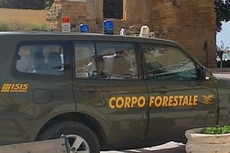 Un mezzo della Forestale (Ansa)