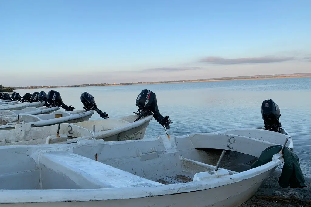 Lo stagno di Cabras (foto Sara Pinna)