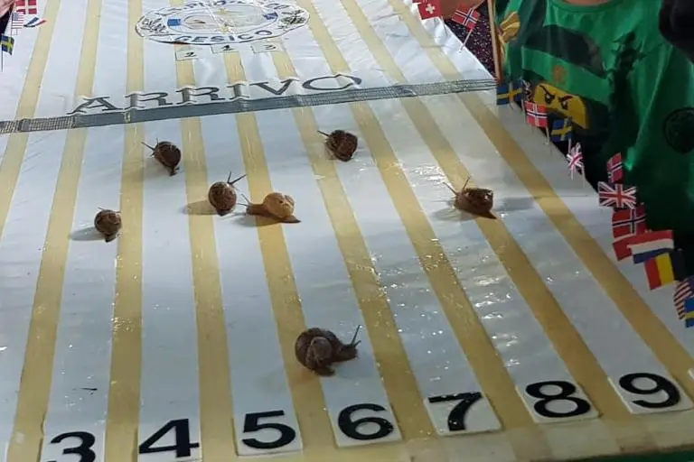 La corsa delle lumache (foto Sirigu)
