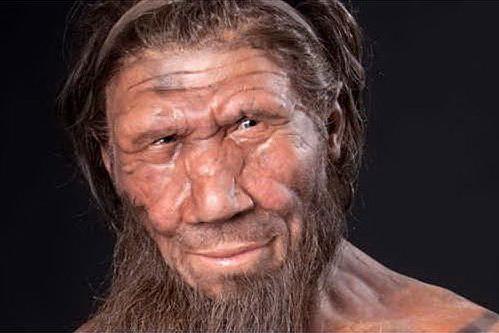 La ricostruzione dell'aspetto di un uomo di Neanderthal (foto @NationalHistoryMuseum via Ansa)
