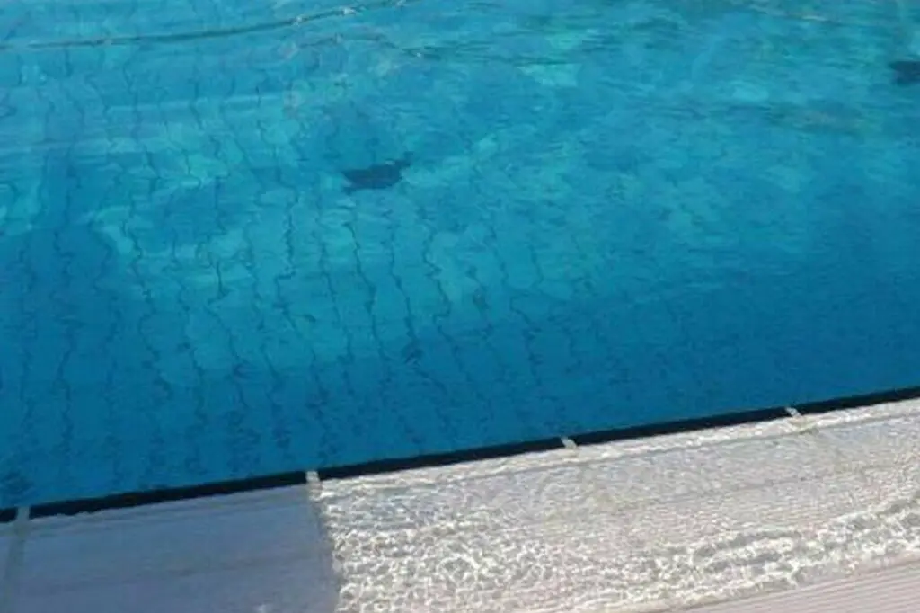 Bimbo di 3 anni annega in piscina, tragedia nel Livornese (immagine simbolo, foto da google)