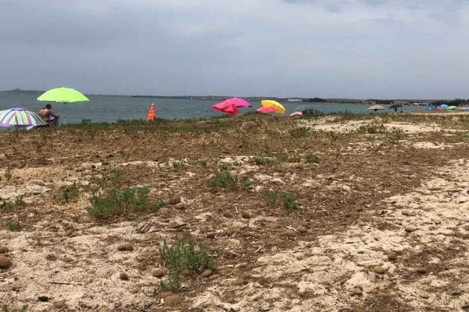 Torregrande: vegetazione e rifiuti sulla spiaggia, la protesta