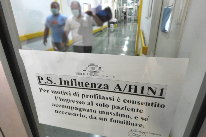 Influenza suina, trovata variante aggressiva del virus H1N1