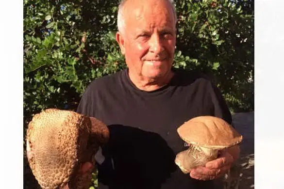 Tomasino Pitzalis con i due funghi da record