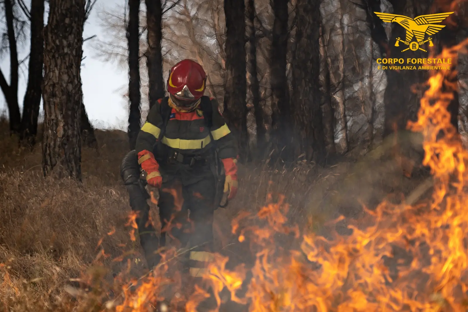 Prevenzione selvicolturale degli incendi boschivi e rurali con l'uso del fuoco (foto Corpo forestale)