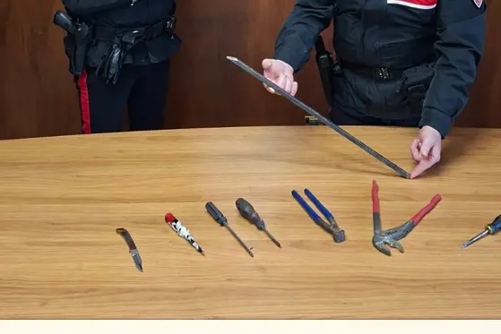 Il materiale sequestrato dai carabinieri (foto Pala)