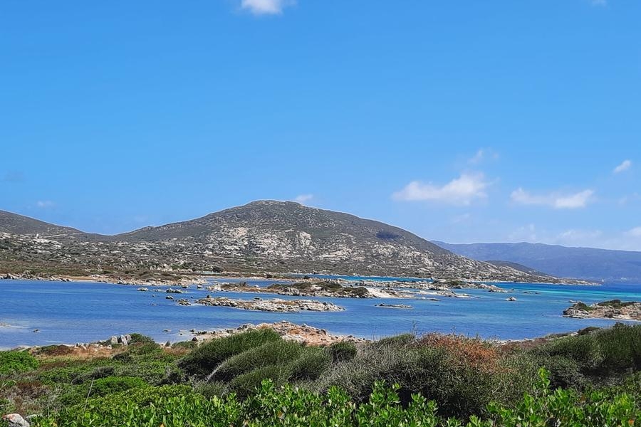 Un tratto di costa dell'Isola dell'Asinara (foto m. v.)