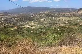 Tinnura (archivio L'Unione Sarda)