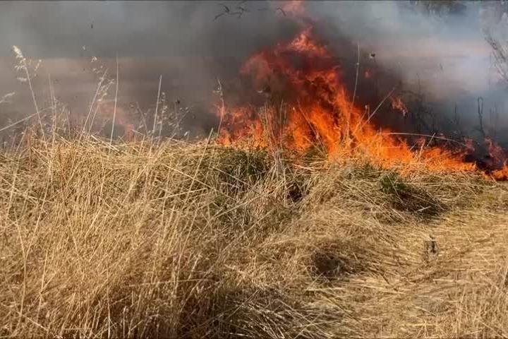 Vasto incendio a Serramanna: le immagini delle fiamme