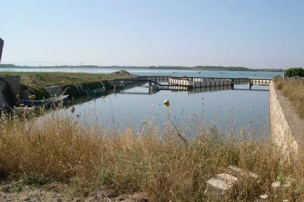 Foto stagno di Is Benas