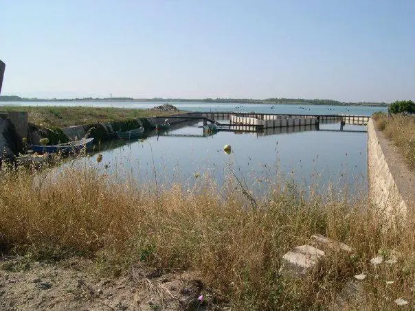 Foto stagno di Is Benas
