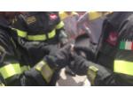 Gattino tra le ruote di un pullman salvato dai pompieri a Porto Torres