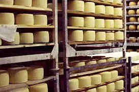 Forme di formaggio (immagine simbolo)