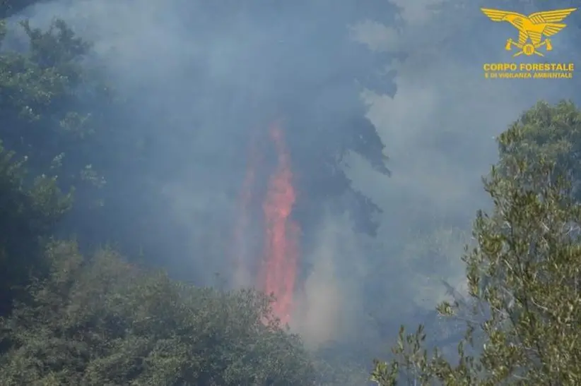 Un incendio di questi giorni (foto Corpo forestale)