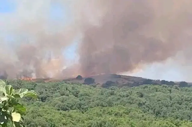 L'incendio vicino a Santu Lussurgiu (foto Angelo Atzori)
