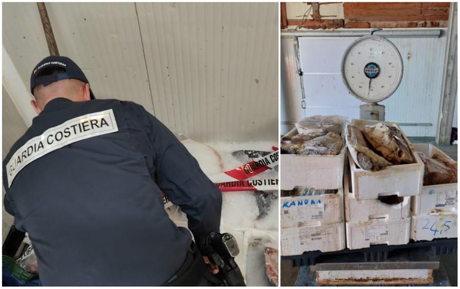 Pesca illegale e prodotti ittici non tracciati in Sardegna: 30mila euro di multe