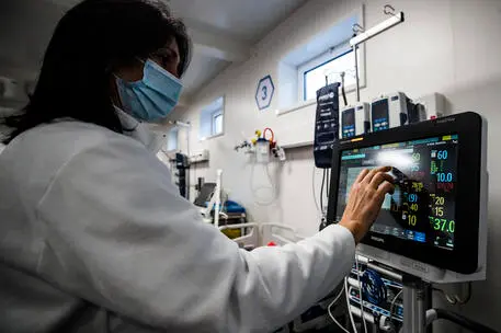Un reparto di terapia intensiva (Ansa - Carconi)