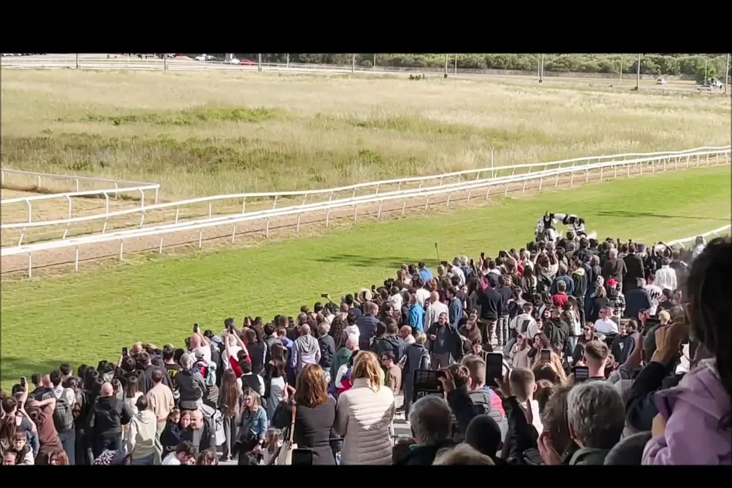 Lo spettacolo delle pariglie all'ippodromo di Sassari