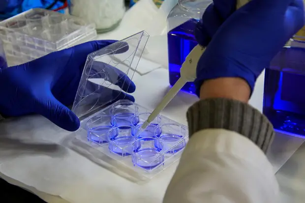 Un laboratorio di ricerca (foto Ansa)