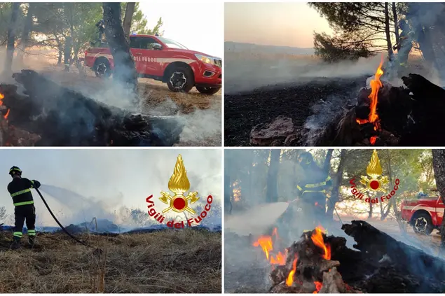L'intervento a Ploaghe (foto vigili del fuoco)