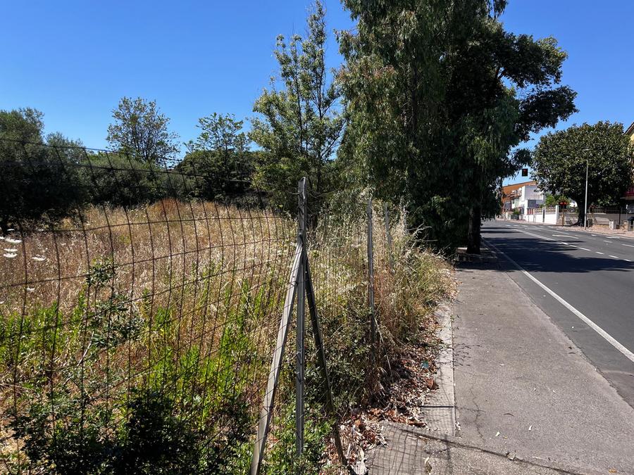 Oristano, tra aree curate e spazi incolti: le crit