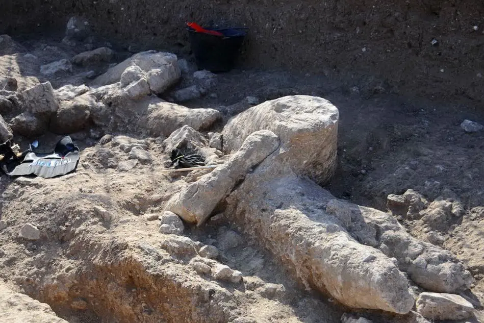 Uno dei Giganti recuperati nello scavo archeologico di Mont'e Prama