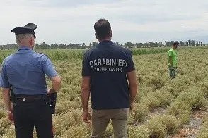 (Foto carabinieri)