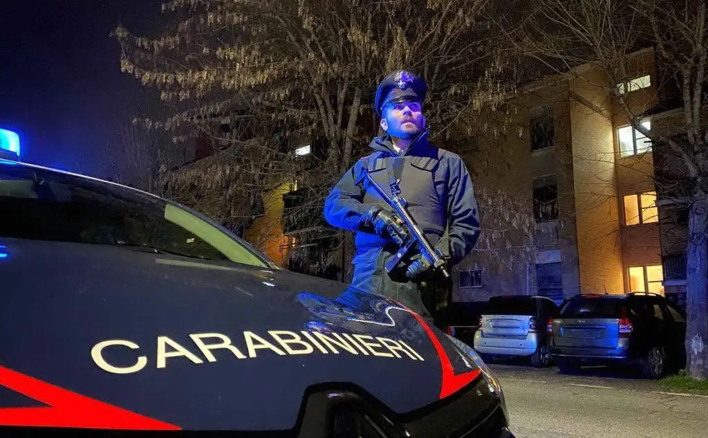 33 le ordinanze cautelari