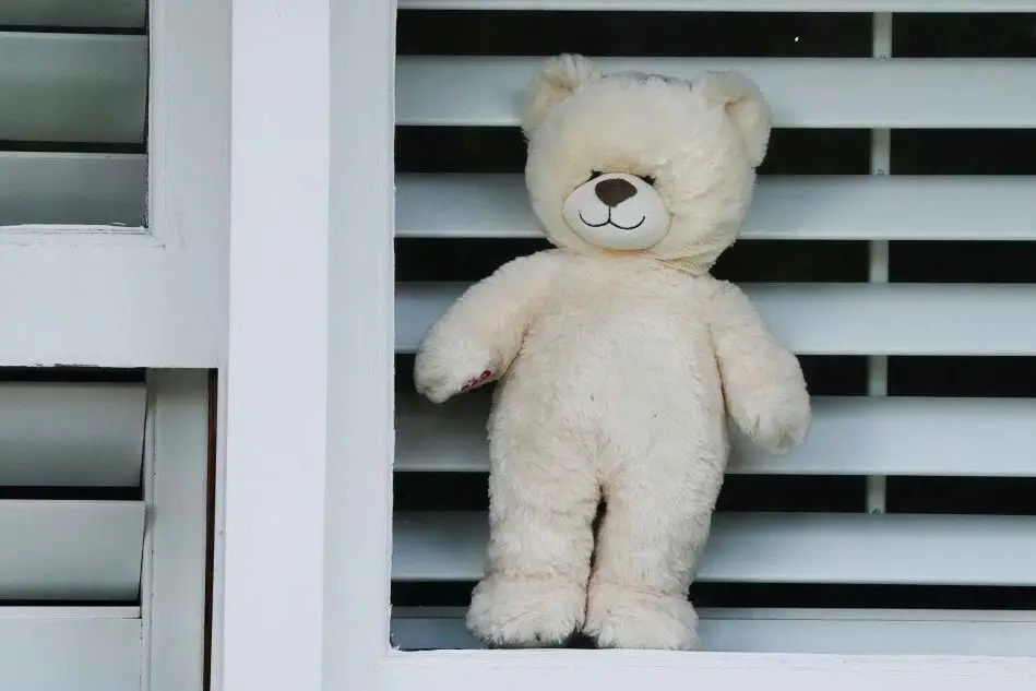 Un orsacchiotto esposto a una finestra