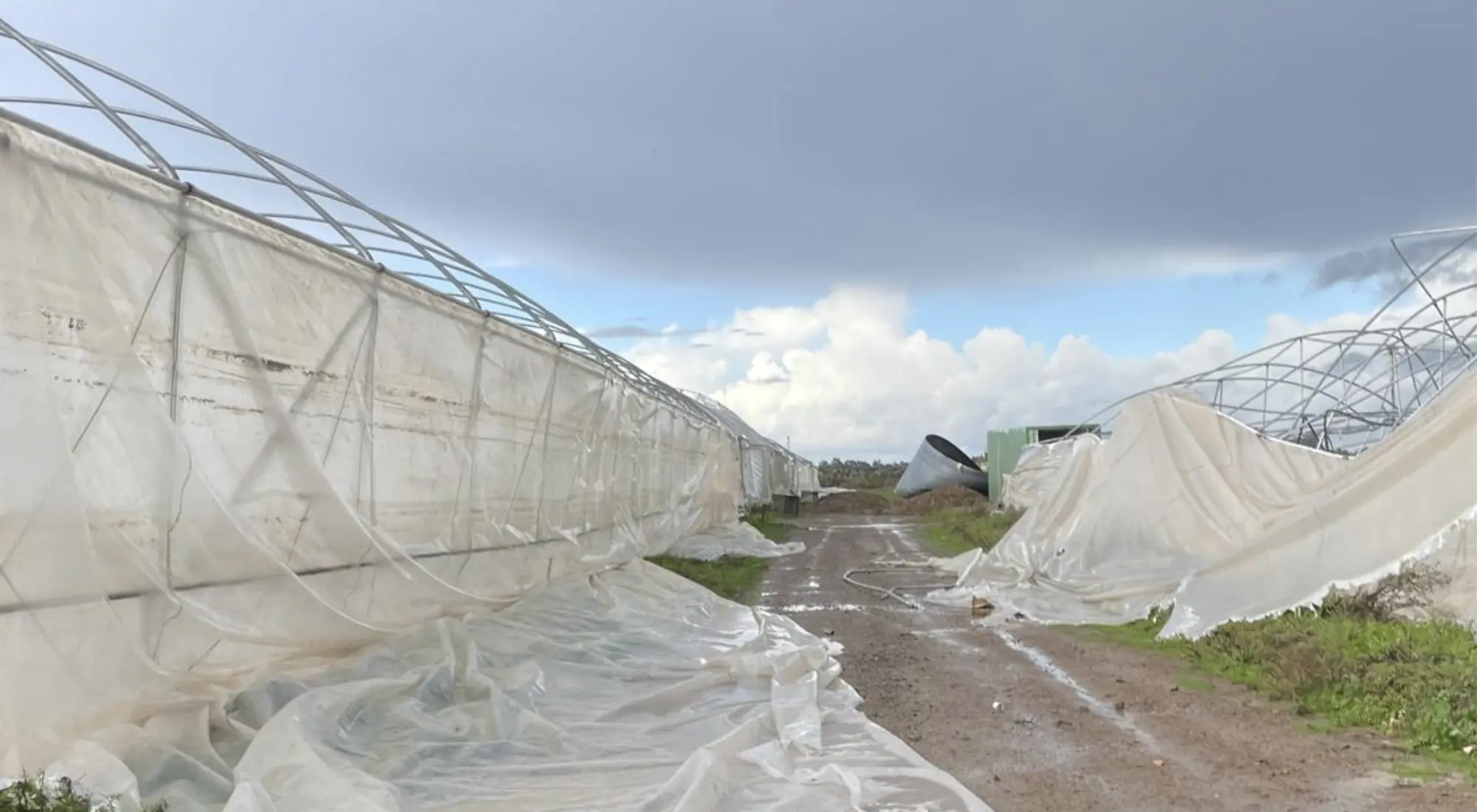 Danni maltempo San Nicolò d'Arcidano (Foto Coldiretti)