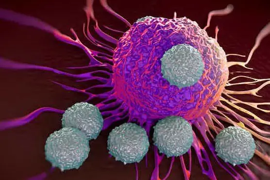 Attacco di cellula cancerogena (Ansa)