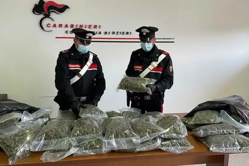 La droga posta sotto sequestro (foto carabinieri di Ozieri)