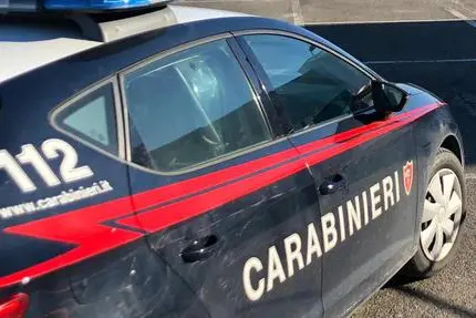 Carabinieri (foto Ansa)